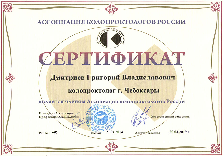 Сертификат Дмитриева Григория Владиславовича